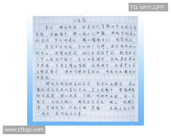 杨芳专访:探索极限运动的挑战与成长之路 杨芳专访:探索极限运动的挑战与成长之路